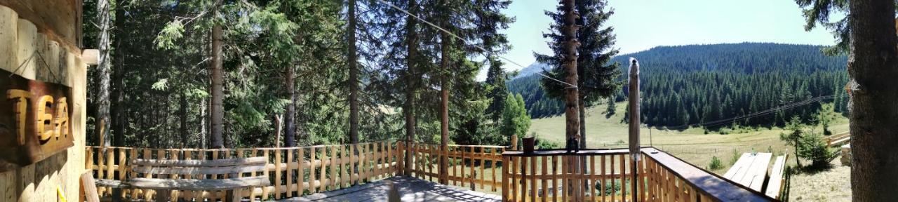 Pinetrees Lodge Plav Exterior foto