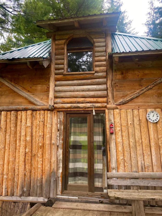 Pinetrees Lodge Plav Exterior foto